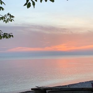 Meet your Posher, Elsa